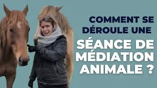 Miniature : 🐴 Pourquoi la médiation animale transforme ? Le déroulement d’une séance expliquée