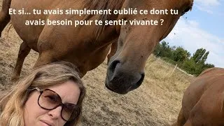 Miniature : As-tu oublié tes besoins fondamentaux ? 🐴 | Une invitation à revenir à l’essentiel grâce aux animaux