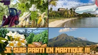Miniature : Mon voyage en Martinique (la vue était incroyable 🤩)