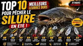 Miniature : Top 10 des meilleurs leurres dures pour pêcher le silure en été !