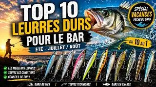 Miniature : Pêche du bar : TOP 10 des MEILLEURS LEURRES DURS pour le BAR en été ! 🎣🔥