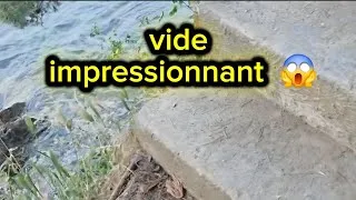 Miniature : De Giens au Littoral Sauvage : Magnifique balade à Hyères 🌿