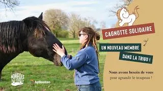 Miniature : On a besoin de vous pour agrandir le troupeau 🐴 ••• Participez à notre cagnotte solidaire !