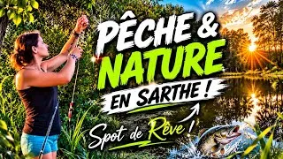 Miniature : 🎣 J'ai trouvé un SPOT DE RÊVE en Sarthe ! 😱🌿 #nomad #vanlife #fyp 