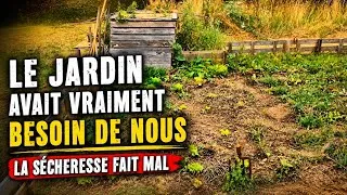 Miniature : 🌱 Le jardin avait vraiment besoin de nous… la sécheresse fait mal #nomade #vanlife #family #fyp 