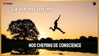 Miniature : La vie est un jeu