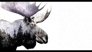 Miniature : La Suède | A la limite des habitats extrême | Documentaire.