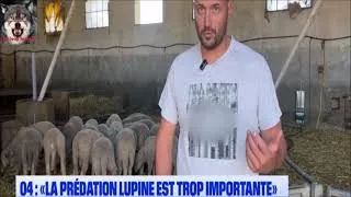Miniature : La prédation  trop importante