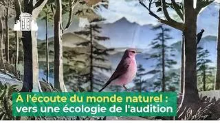 Miniature : À l'écoute du monde naturel : vers une écologie de l'audition | ENS-PSL