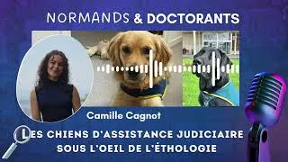 Miniature : #13 – Les chiens d’assistance judiciaire sous l’œil de l’éthologie – Avec Camille Cagnot