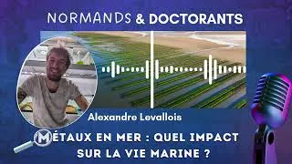 Miniature : #8 - Métaux en mer : Quel impact sur la vie marine ? - Avec Alexandre Levallois