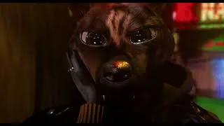 Miniature : BOUCHRA de Orian Barki et Meriem Bennani - le 3 juin au cinéma