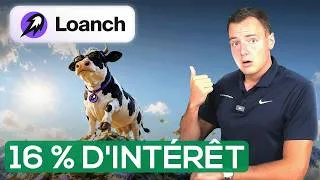Miniature : Sur place chez la « vache à lait » à 16 % : Loanch en vaut-il la peine ?
