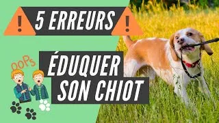 Miniature : Éduquer son Chiot : 5 erreurs à ne pas faire