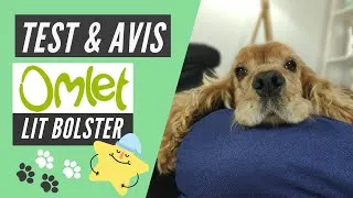 Miniature : Lit Bolster d’Omlet : Notre avis sur ce lit pour chien en mousse à mémoire de forme