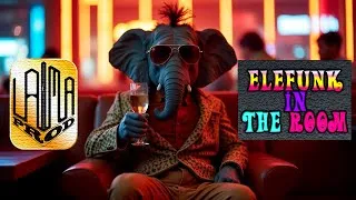 Miniature : Soirée spéciale Funk/Disco-Funk/Électro-Funk inédit