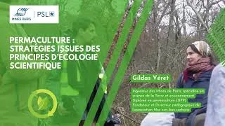 Miniature : Permaculture stratégies issues des principes d'écologie scientifique 8/8