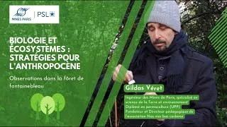 Miniature : L'écosystème forestier observé en Forêt de Fontainebleau (6/8)