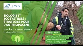 Miniature : Les arbres : des prouesses physiques inégalées par l'Homme - Cours des Mines (5/8)