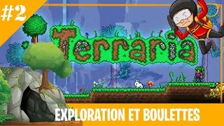 Miniature : TERRARIA #2 : Exploration de grotte et boulettes