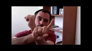Miniature : Pour en finir avec la Terre plate / 1- Dissidosphere