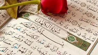 Miniature : Sourate Al-Kahf 🎙️ Idriss Abkar 🎧 