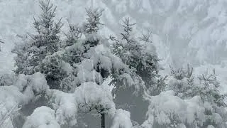 Miniature : Poudre de Vercors