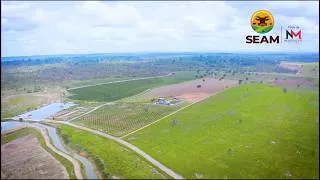 Miniature : A la découverte de la Société d'Élevage et Agriculture Moderne (SEAM)