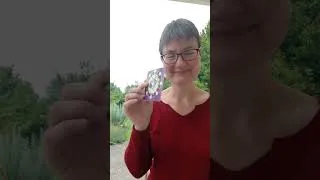 Miniature : L'Étincelle de Vie : Ce que l'Éclipse va vous Révéler