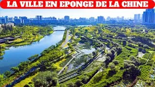 Miniature : La VILLE En EPONGE De La CHINE