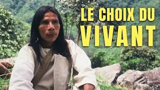 Miniature : Le mystère des KOGIS | Une autre manière d’habiter le monde