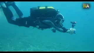Miniature : NA Projet Roatán, des reproductions virtuelles en 3D pour examiner le fond marin