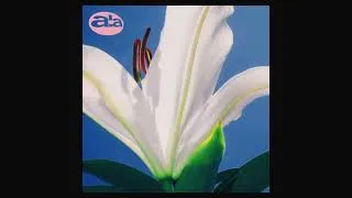 Miniature : AUTOFLOWER - Feel the Love