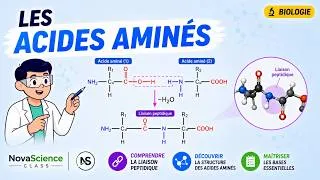 Miniature : Les Acides Aminés EXPLIQUÉS SIMPLEMENT 🧬 | Tout Comprendre en 15 Minutes