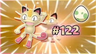 Miniature : MIAOUSS / MEOWTH SHINY  | 306 eggs hatched - SHINY LIVE RÉACTION !