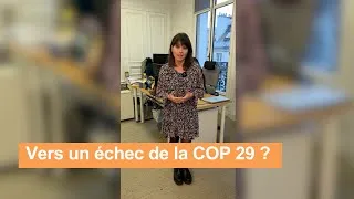 Miniature : Vers un échec à la COP 29 ?