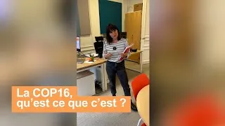 Miniature : La COP16, qu'est-ce que c'est ?