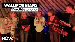 Miniature : WALLIFORNIANS #7 - Dorothée Lambinon, un chant sauvage et mystique