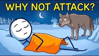 Miniature : Why Do Predators Ignore Sleeping Humans?