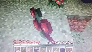 Miniature : Survie Minecraft horreur ( no_moo.jar )
