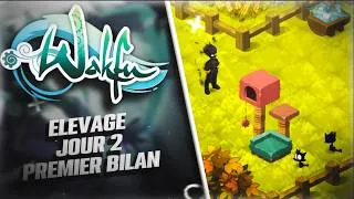 Miniature : Jour 2 élevage WAKFU : le premier BILAN : c'est bien ?