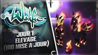 Miniature : Le grand jour de l'élevage WAKFU est arrivé !