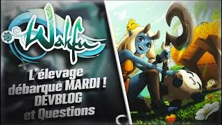 Miniature : Élevage Wakfu à venir : Beaucoup de réponses !