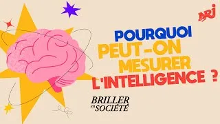 Miniature : Peut-on mesurer l'intelligence ? | Briller en société