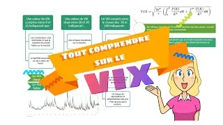 Miniature : Comprendre le VIX en bourse - Indice de volatilité