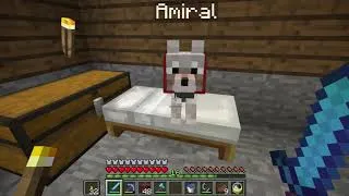 Miniature : [FR] Minecraft survie