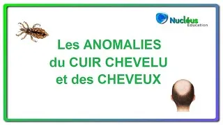 Miniature : Les anomalies en coiffure