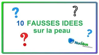 Miniature : 10 fausses idées sur la peau