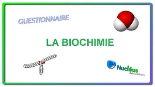 Miniature : Quiz - Biochimie