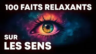 Miniature : Les faits les plus relaxants sur les sens |  Pour S’endormir